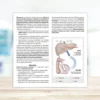 Aboca Metarecod - Dispositivo medico per la sindrome metabolica, 40 bustine granulari da 2,5 g