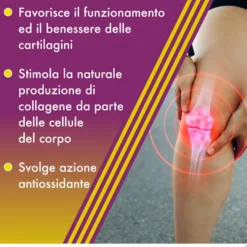 Alfasigma Amedial Plus - Integratore alimentare per le ossa e le cartilagini, 20 bustine da 5 g