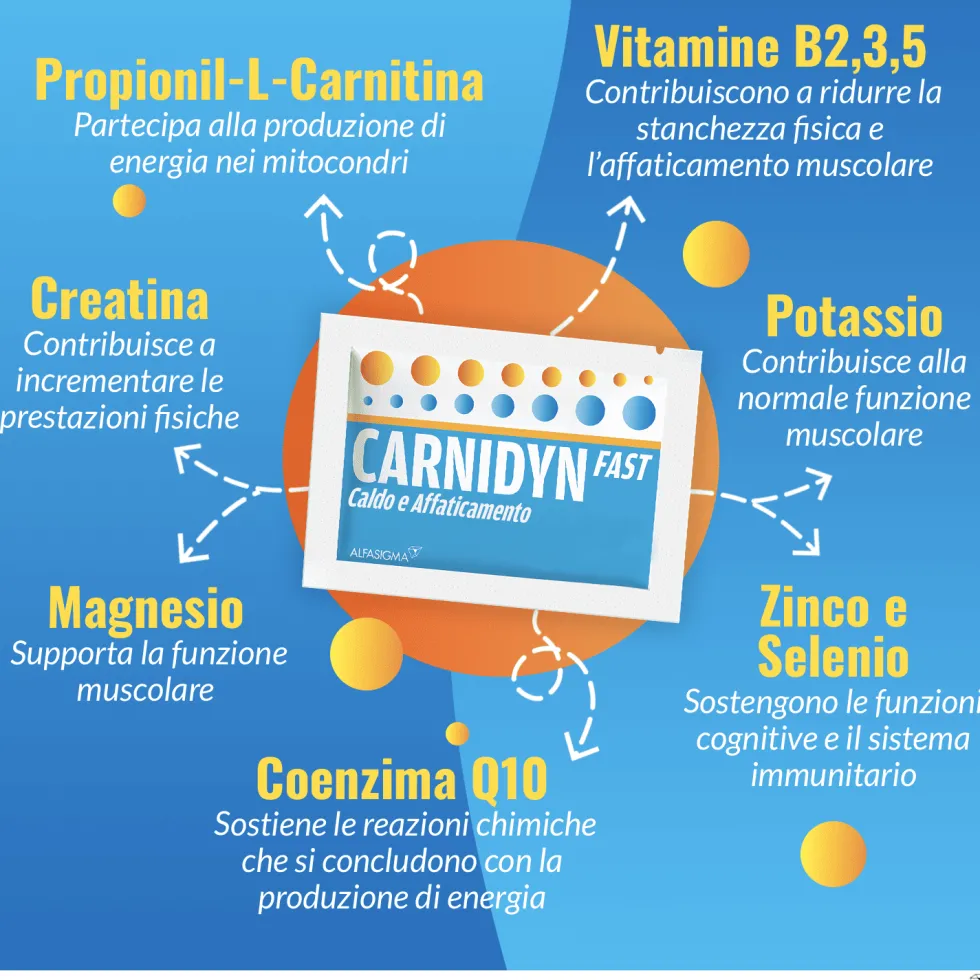 Alfasigma Carnidyn Fast - Integratore di magnesio e potassio per reintegro idrosalino, 20 bustine