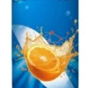 Arkopharma Arkomag Hydratium Senior 50+ Integratore per energia e reidratazione, 24 compresse