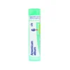 Arsenicum album 6CH Medicinale Omeopatico in Granuli, 4g