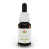 Australian Bush Flower Essences - Waratah Gocce, 15ml