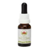 Australian Bush Flower Essences Fringed Violet, 15ml