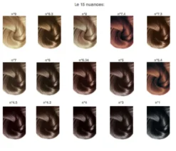 BioNike Shine On 4.3 Castano Dorato - Tintura permanente per colorare e nutrire i capelli, 1 kit