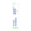 Boiron Arnica Montana 200 CH - Globuli omeopatici per traumi e dolori, tubo monodose da 1 g
