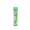 Boiron Arnica Montana 5 CH - Medicinale omeopatico per traumi e dolori muscolari, 80 granuli