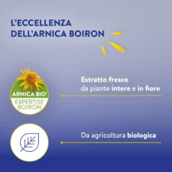 Boiron Arnigel Roll-On all'Arnica per Rilassamento Muscolare, 45g