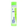 Boiron Carbo Vegetabilis 5Ch - Granuli omeopatici per gonfiore e gas addominale, 4 g