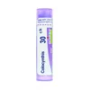 Boiron Colocynthis 30 Ch Rimedio Omeopatico in Granuli, 4g