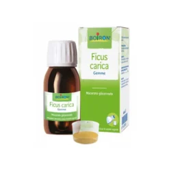 Boiron Ficus Carica Gemme - Integratore alimentare per lo stomaco e la digestione, flacone da 60 ml