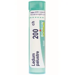 Boiron Ledum Palustre 200CH Medicinale Omeopatico, 80 granuli