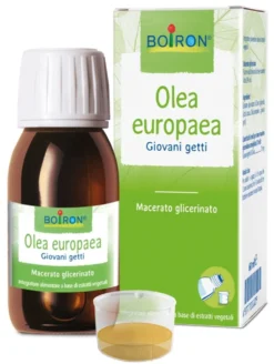 Boiron Olea Europaea Giovani Getti Macerato Glicerico Integratore, 60ml