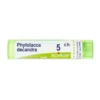 Boiron Phytolacca Decandra 5 CH - Medicinale omeopatico multidose, 80 granuli