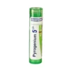 Boiron Pyrogenium 5Ch - Medicinale omeopatico per le infiammazioni e le infezioni, 4 g