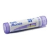 Boiron Sepia Officinalis 30CH - Rimedio omeopatico per il gonfiore e i dolori mestruali, 80 granuli
