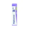Boiron Streptococcinum 30CH Rimedio Omeopatico in Globuli, 1g