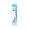 Boiron Thuya Occidentalis 9CH - Globuli omeopatici per l'equilibrio dell'organismo, tubo da 4 g