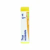 Boiron Thuya Occidentalis 1MK - Granuli omeopatici ad azione depurativa e drenante, 1 g