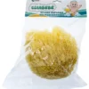 Budetta Farma CliaBebè Spugna Naturale del Mar Mediterraneo Misura 10, 1 Pezzo