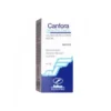 Canfora New Fa.Dem. 10% Soluzione Cutanea 1 Flacone 100 Ml Di 10% Soluzione Cutanea 1 Flacone 1000 Ml Di Soluzione Idroalcolica