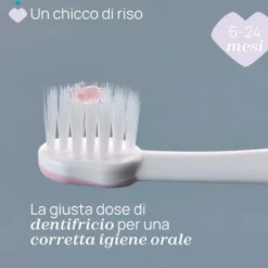 Chicco Spazzolino Primi Denti 6-36 mesi - Spazzolino manuale per l'igiene orale, 1 pezzo rosa