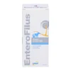 DRN Enterofilus Alimento Complementare per Cani e Gatti, 100ml