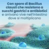 Enterogermina 2 Miliardi/5ml Sospensione Orale Ripristino Flora Microbica Intestinale, 10 Flaconcini