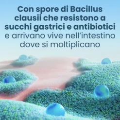 Enterogermina 2 Miliardi/5ml Sospensione Orale Ripristino Flora Microbica Intestinale, 10 Flaconcini