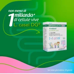 Enterolactis Baby Gocce 8 Ml