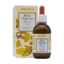 Erbamea Ribes Nigrum gemme - Gemmoderivato bio per il drenaggio e le vie urinarie, 50 ml