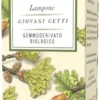Erbamea Rubus idaeus Lampone Bio - Integratore alimentare riequilibrante, 50 ml