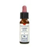 Erba Vita Cherry Plum Essenza Floreale in Gocce Metodo Dr. Bach, 10ml
