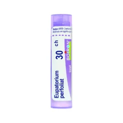 Eupatorium perfoliatum 30CH Medicinale Omeopatico in Granuli, 4g