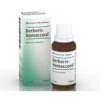 Guna Heel Berberis-Homaccord Gocce Omeopatiche, 30ml