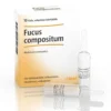 Guna Heel Fucus Compositum Medicinale Omeopatico Soluzione Iniettabile, 10 fiale