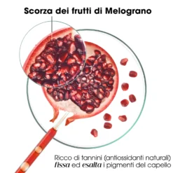 Klorane Melograno - Shampoo Luminosità per Capelli Colorati, 400ml