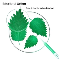 Klorane Ortica - Shampoo Seboriduttore Capelli Grassi, 400ml