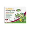 Naturwaren Dr. Theiss Mucoplant - Lecca Lecca Tuss Kids, 6 Pezzi