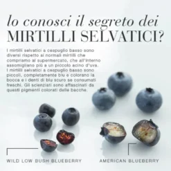 New Nordic Blue Berry Integratore Benessere Vista, 60 Compresse