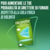 Nicorette Gomme per smettere di fumare 2mg Nicotina Menta, 30 Gomme Masticabili