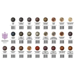 Organics Color 9/1 Biondo Chiarissimo Cenere - Tinta in olio per colorare i capelli, kit da 120 ml