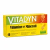 Phyto Garda Vitadyn - Integratore di vitamine e minerali per l'energia, 40 compresse effervescenti