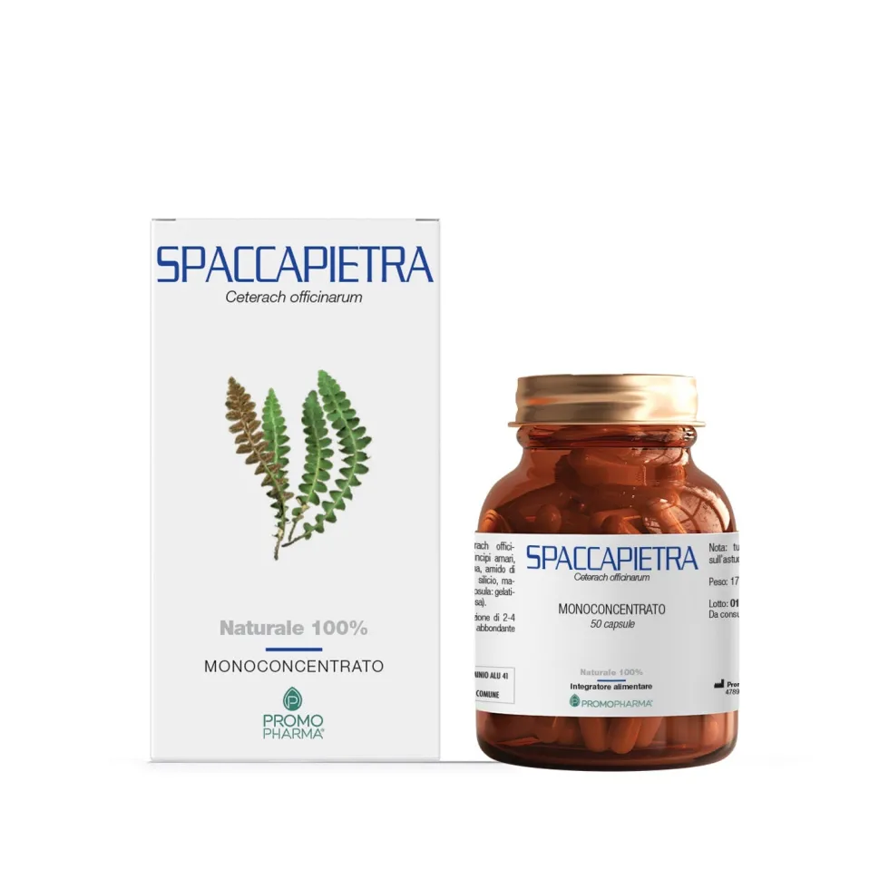 PromoPharma Spaccapietra monoconcentrato - Integratore per il drenaggio, 50 capsule