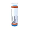 Pulsatilla 30Ch 80Gr 4G