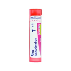 Rhus toxicodendron 7CH Medicinale Omeopatico in Granuli, 4g