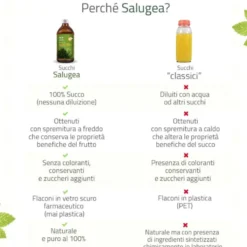 Salugea Succo Aloe Vera Bio Integratore Digestione e Depurazione, 500ml