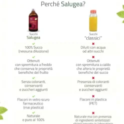 Salugea Succo Mangostano Bio Integratore Stomaco e Intestino, 500ml