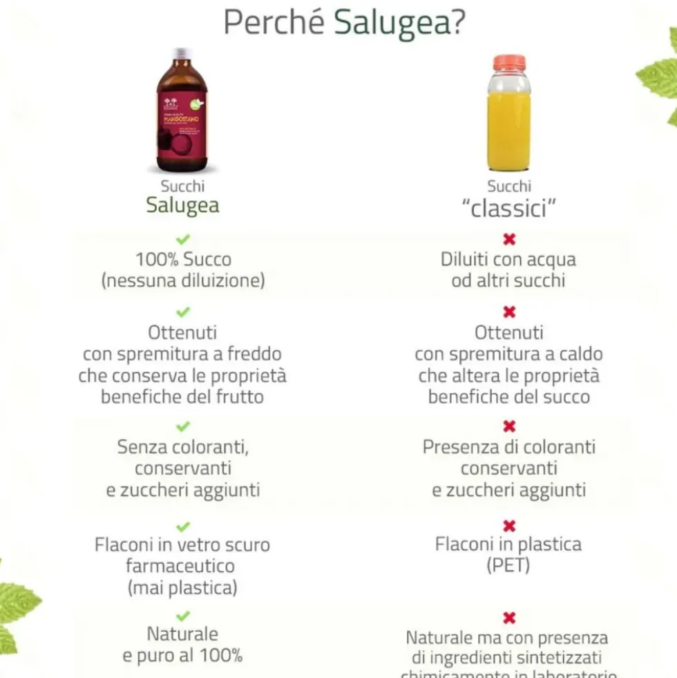 Salugea Succo Mangostano Bio Integratore Stomaco e Intestino, 500ml
