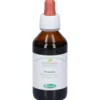 Sangalli Pilosella - Integratore Sangalli pilosella in tintura madre per la cellulite, 100 ml