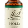 Schwabe Pharma Bach - Holly Rimedio Floreale Originale, 20ml